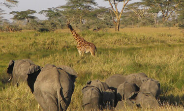 lake_manyara_park