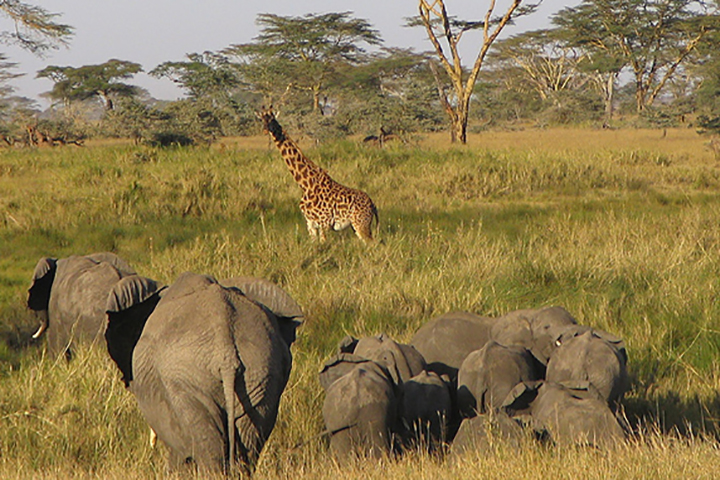 lake_manyara_park