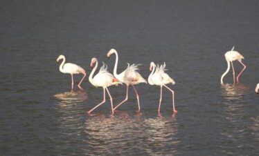 lake_manyara_park