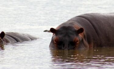 lake_manyara_park