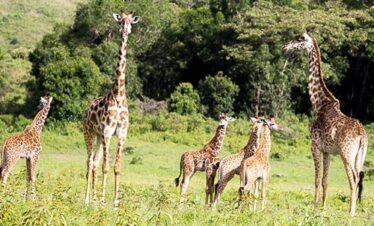 lake_manyara_park