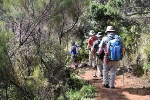 climb_kilimanjaro_mount