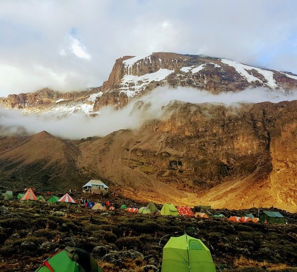 kilimanjaro-2412546_1280