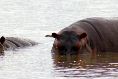 lake_manyara_park